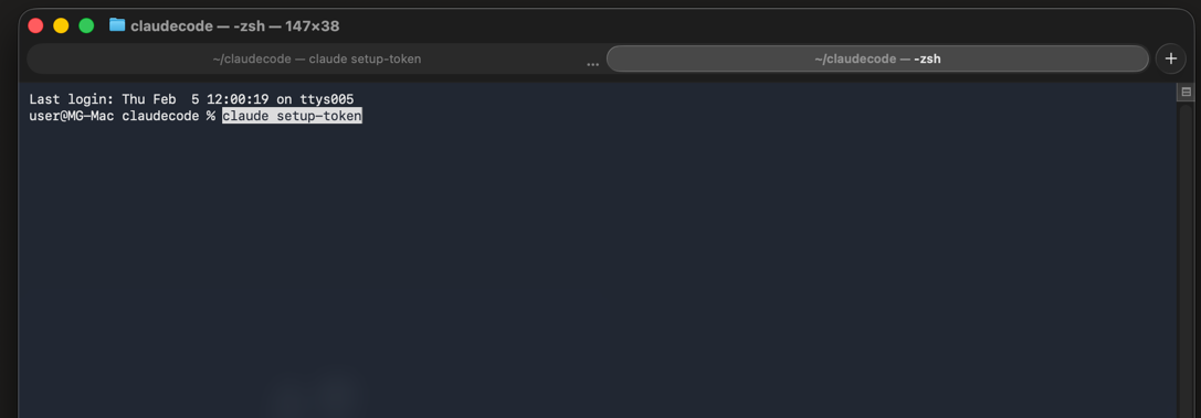 Команда setup-token в терминале